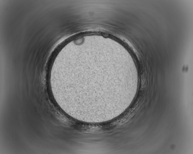 X0000101220975200807251107