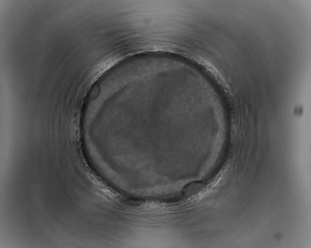 X0000101220977200807251107