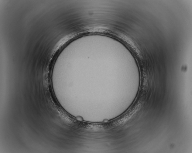 X0000101220978200807251107