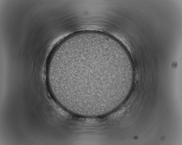 X0000101220979200807251107