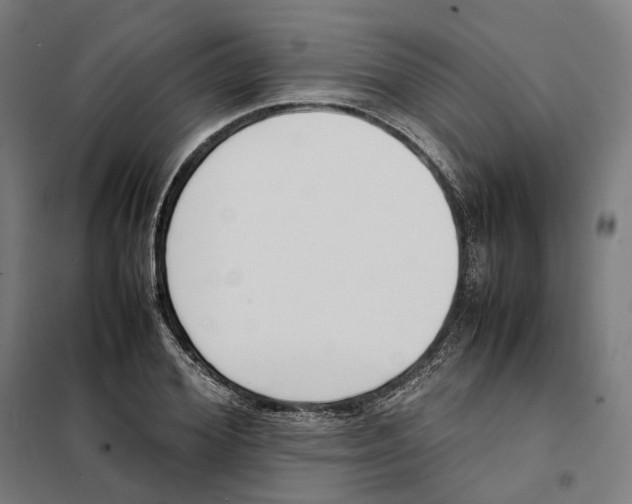 X0000101220980200807251107