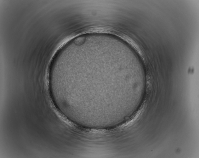 X0000101220981200807251107