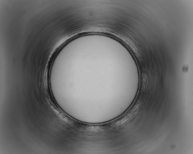 X0000101220982200807251107