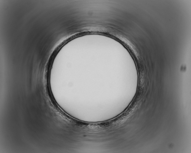 X0000101220983200807251107