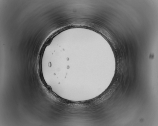 X0000101220984200807251107