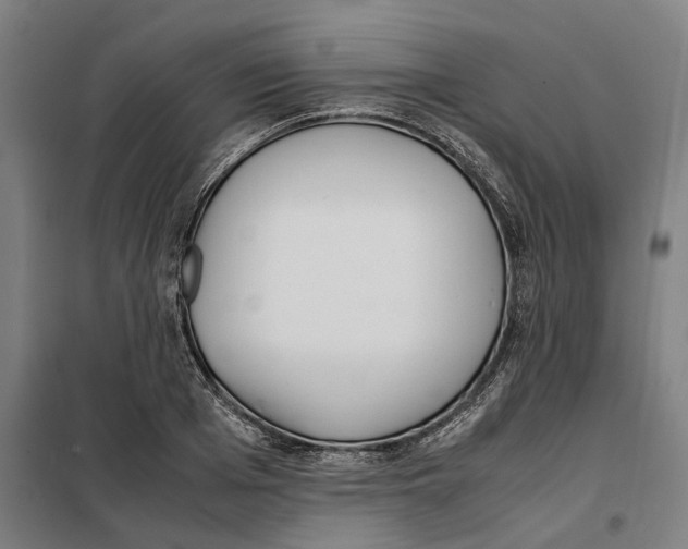 X0000101220985200807251107