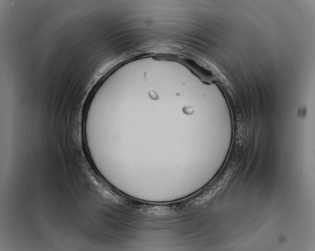 X0000101220986200807251107