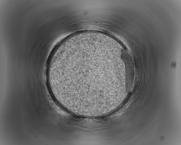 X0000101220987200807251107