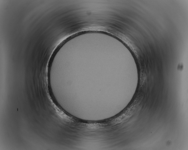 X0000101220988200807251107