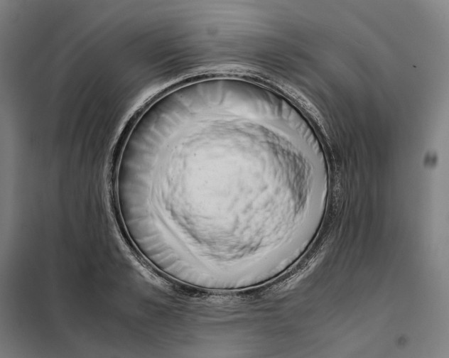X0000101220989200807251107
