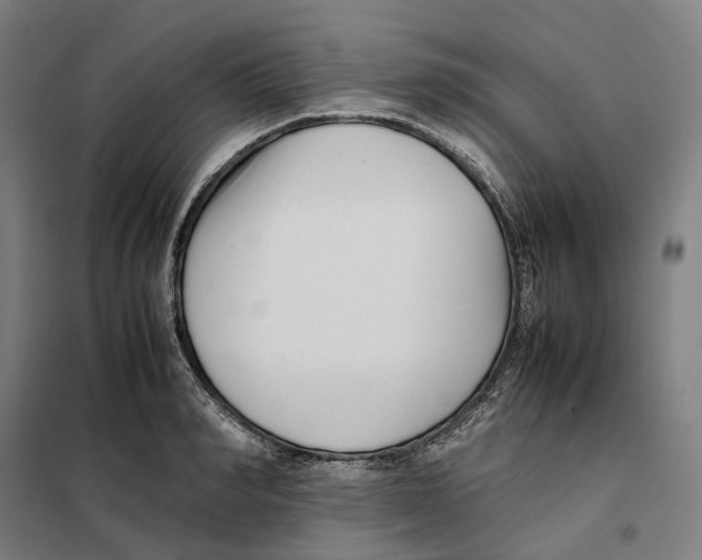 X0000101220990200807251107