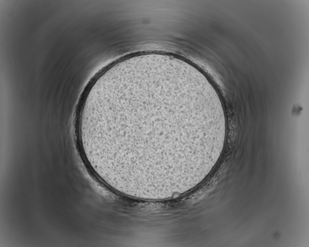 X0000101220991200807251107