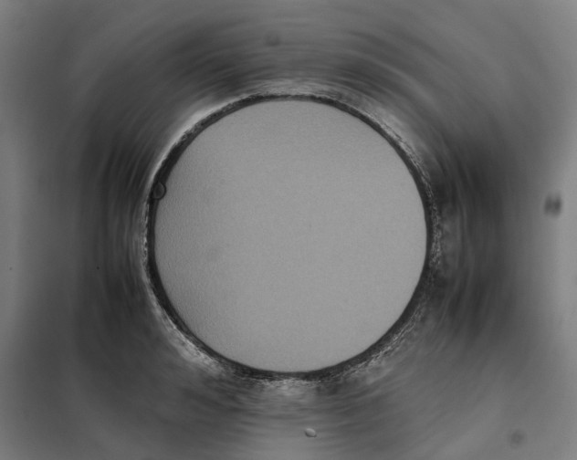X0000101220992200807251107