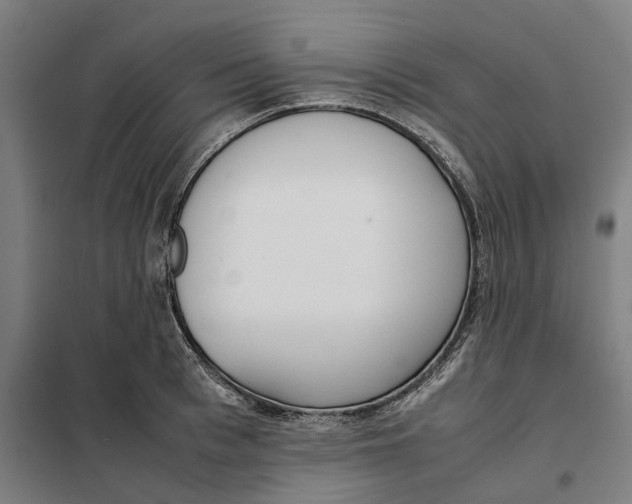 X0000101220993200807251107