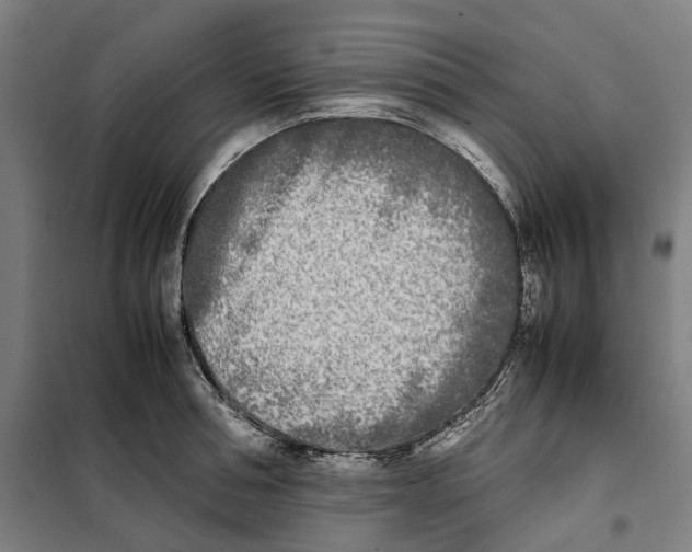 X0000101220994200807251107