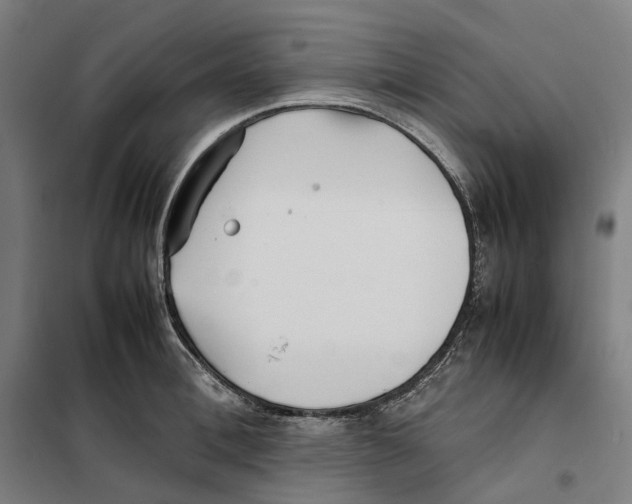 X0000101220996200807251107