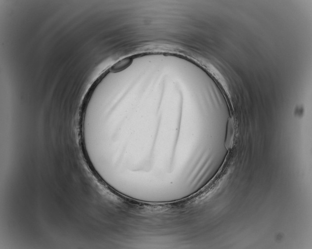 X0000101220997200807251107