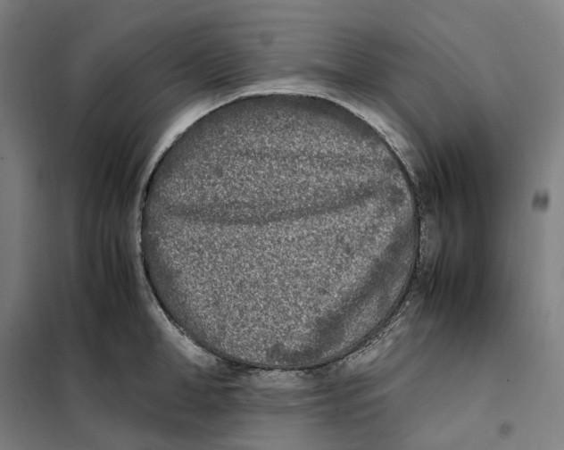 X0000101220998200807251107