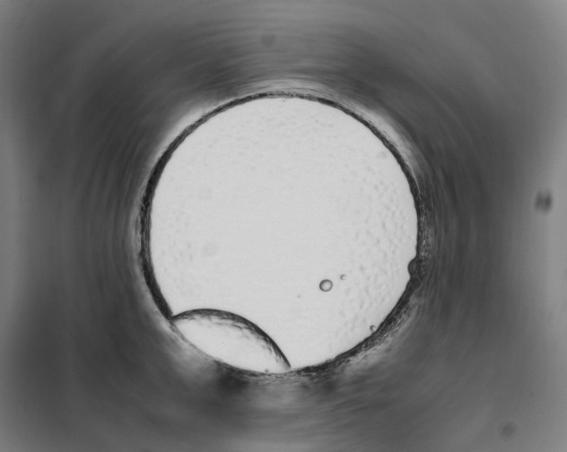 X0000101220999200807251107