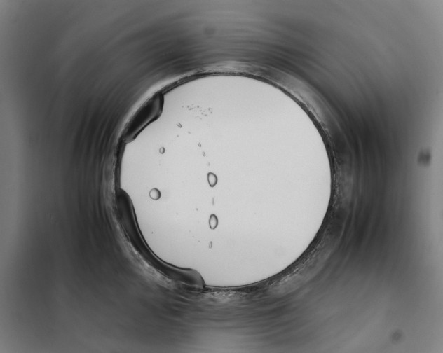 X0000101221000200807251107