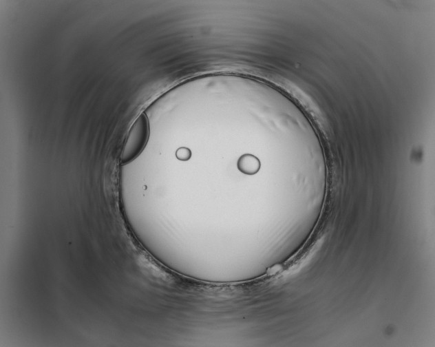 X0000101221001200807251107