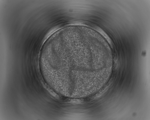 X0000101221002200807251107