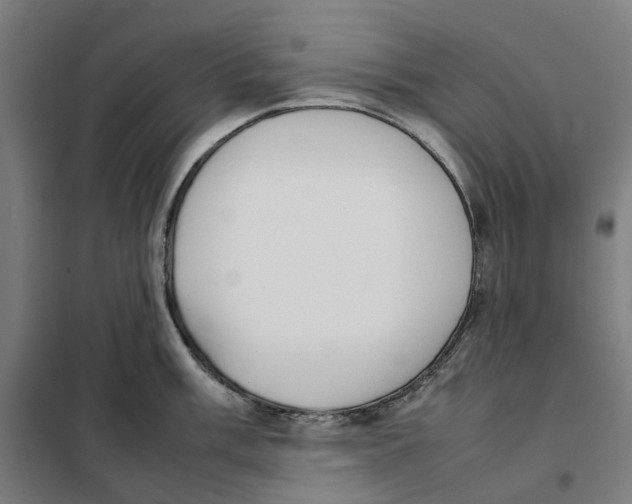 X0000101221003200807251107