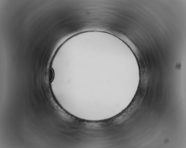 X0000101221004200807251107
