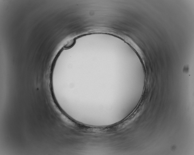 X0000101221005200807251107
