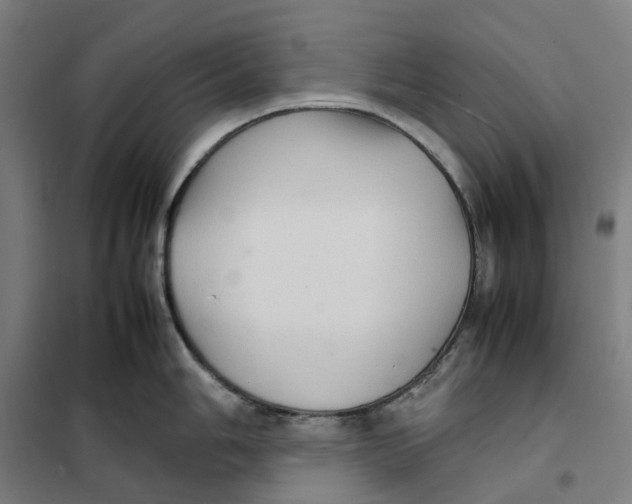 X0000101221006200807251107
