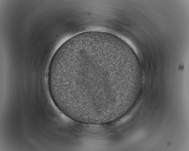 X0000101221007200807251107