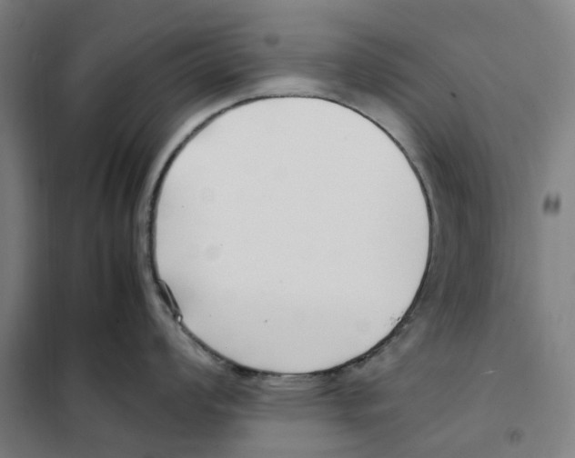 X0000101221008200807251107