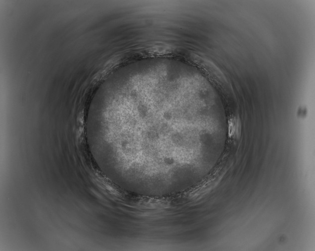 X0000101221011200807251106