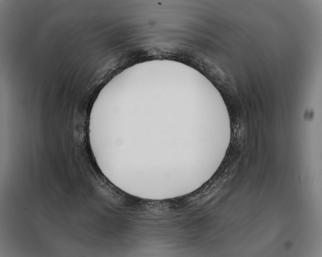 X0000101221012200807251106