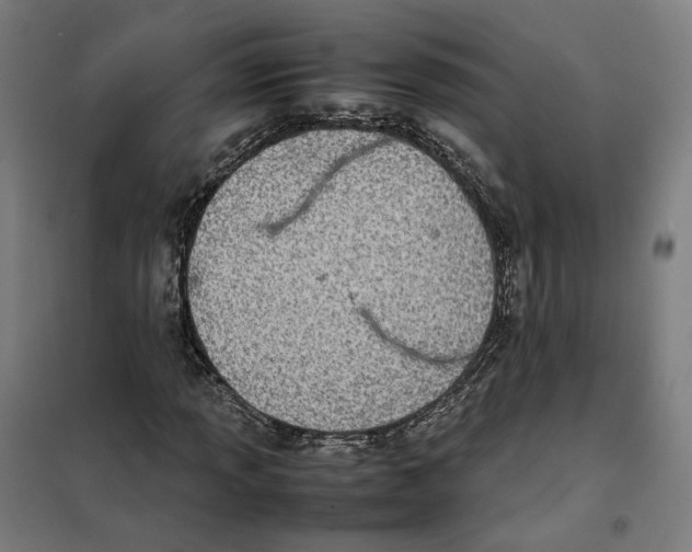 X0000101221013200807251106