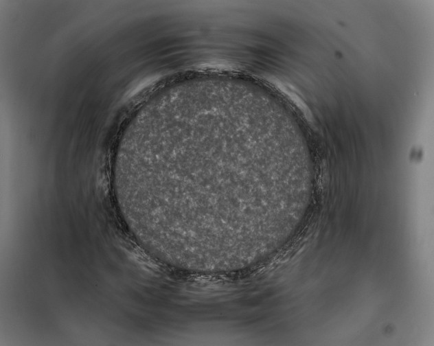 X0000101221015200807251106