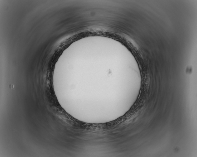 X0000101221016200807251106