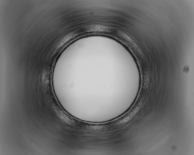 X0000101221017200807251106