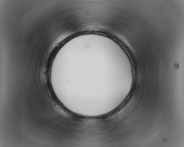 X0000101221018200807251106