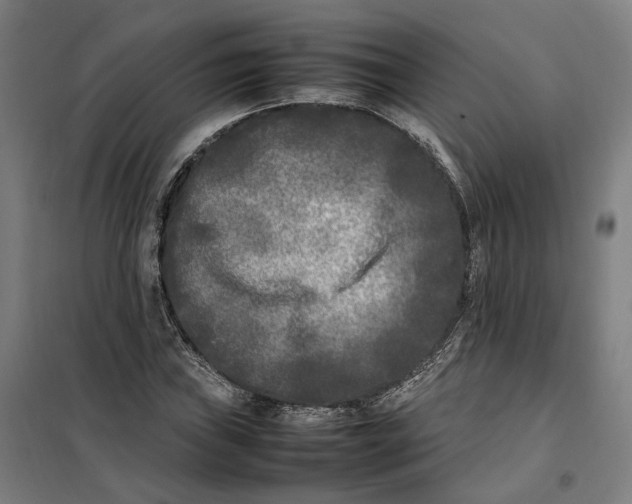 X0000101221019200807251106