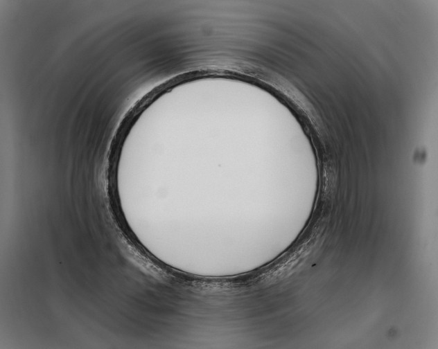 X0000101221020200807251106