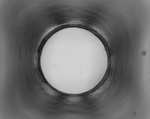 X0000101221021200807251106