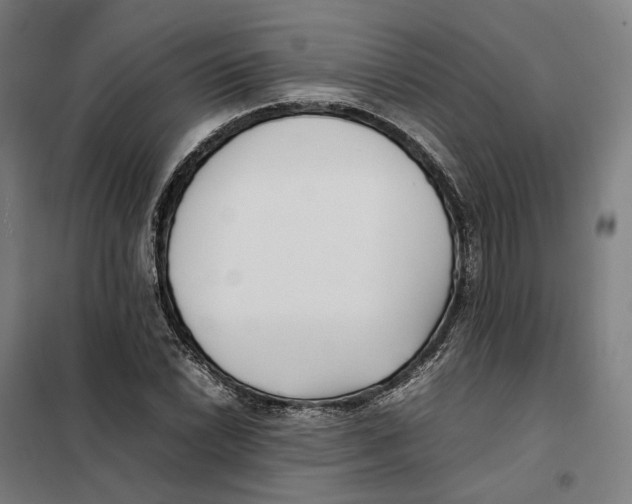 X0000101221022200807251106