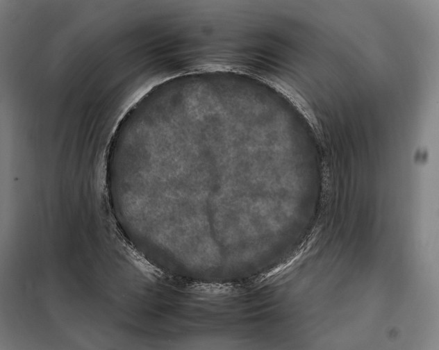 X0000101221023200807251106
