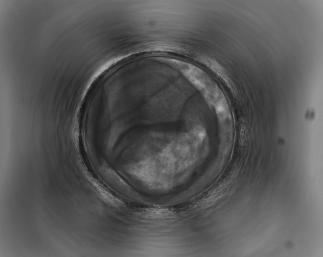 X0000101221024200807251106