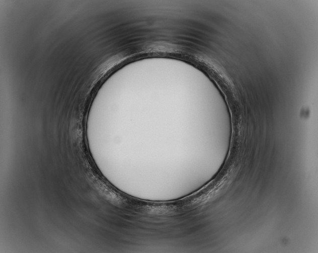 X0000101221025200807251106
