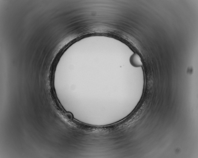 X0000101221026200807251106