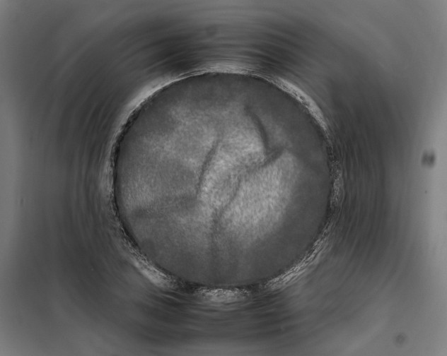 X0000101221027200807251106