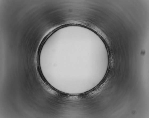 X0000101221028200807251106