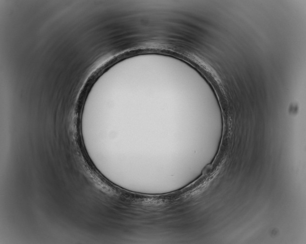 X0000101221029200807251106